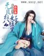 《无良相公好腹黑》