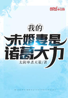 《我的未婚妻是诸葛大力》