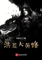 《洪荒大黄蜂》