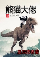 《熊猫大佬》