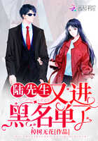 《陆先生又进黑名单了》