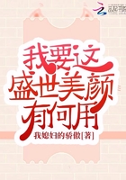 《我要这盛世美颜有何用》