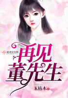 《再见董先生》