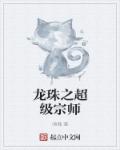 《龙珠之超级宗师》