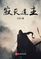 《寂灭道主》