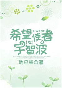 《[综]希望使者宇智波》