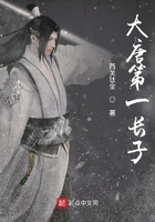 《大唐第一长子》