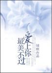《最美不过爱上你》