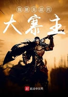 《我是无敌的大寨主》