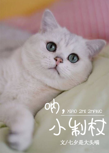 《呐，小制杖》