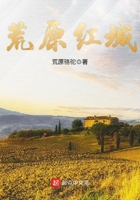 《荒原红城》