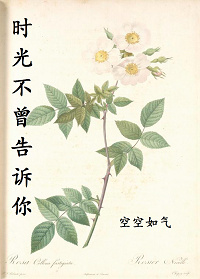 《时光不曾告诉你》