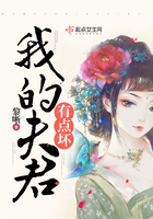 《我的夫君有点坏》