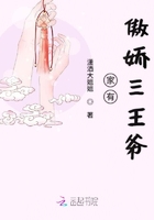 《家有傲娇三王爷》