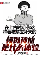 《模拟神仙是什么体验》