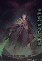 《指挥官的无限打工之旅》