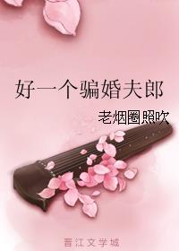 《好一个骗婚夫郎》