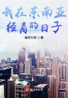 《我在东南亚经商的日子》