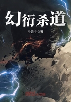 《幻衍杀道》