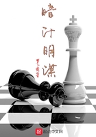 《暗计明谋》