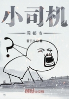 《小司机闯都市》