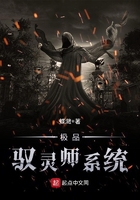 《极品驭灵师系统》