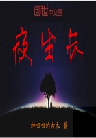 《夜生长》