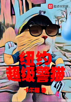 《纽约超级警猫》