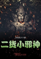 《二货小邪神》
