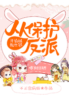 《从保护反派开始拯救世界》