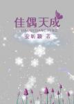 《佳偶天成》