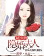 《陆少的隐婚夫人》