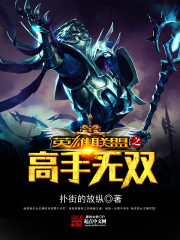 《英雄联盟之高手无双》