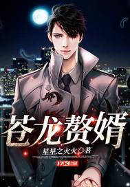 《苍龙赘婿》