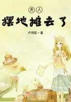 《夫人摆地摊去了》