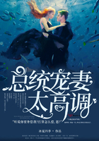 《总统宠妻太高调》