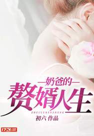《奶爸的赘婿人生》