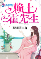 《赖上霍先生》