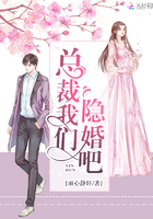 《总裁我们隐婚吧》