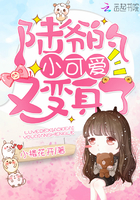 《陆爷的小可爱又变身了》
