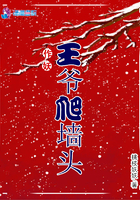 《作妖王爷爬墙头》