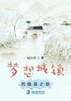 《梦想城镇的慢穿之旅》