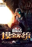 《极品摸金系统》
