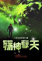 《殇神孽天》