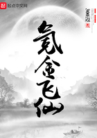 《氪金飞仙》