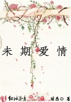 《未期爱情》