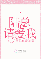 《陆总请爱我》