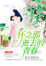 《怀念那逝去的青春》