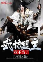《武林盟主我不当了》