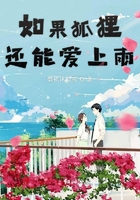 《如果狐狸还能爱上雨》